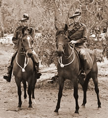 Canungra Light Horse Brigade