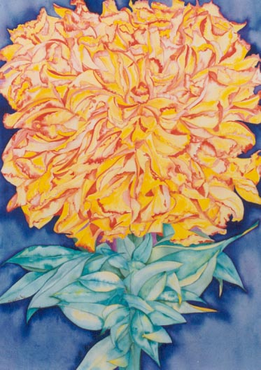 Aster - painting by Giselle