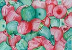 Tasmanian Apples - Painting by Giselle