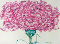 Carnation - Flower Power - watercolour by Giselle