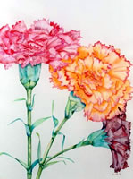 Ikebana - Carnations - picture by Giselle