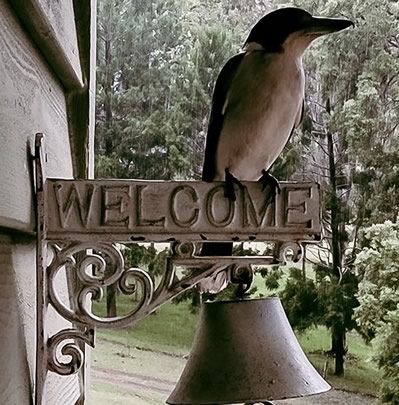 Gully Station Boutique Retreat Canungra - Welcome