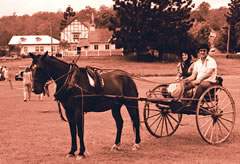 Horse and Buggy 