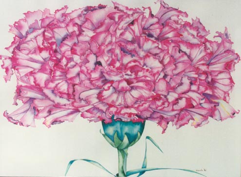 Carnation, painting by Giselle