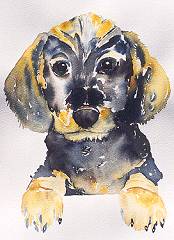 doggy